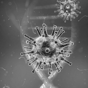 Corona virus