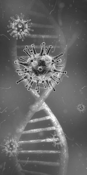 coronavirus